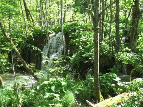 Waterfall Stock Photos