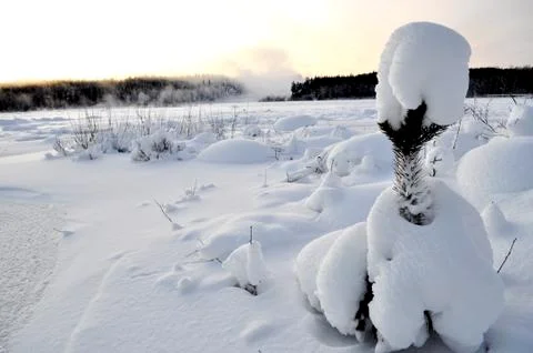 Waterfall Stock Photos