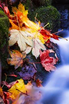 Waterfall Foto stock