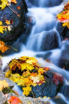 Waterfall Stock Photos