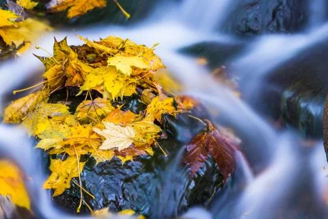 Waterfall Stock Photos