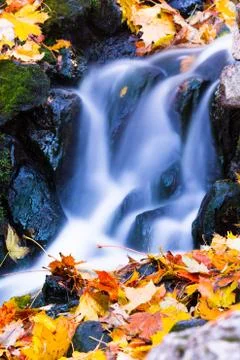 Waterfall Stock Photos