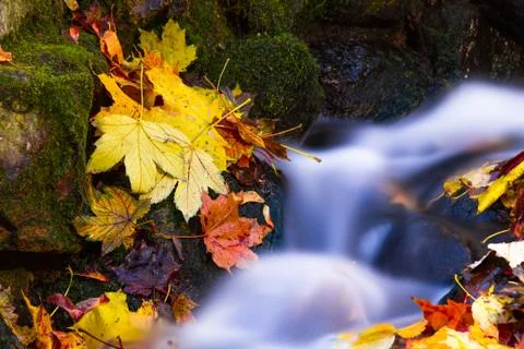 Waterfall Stock Photos