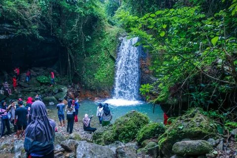 The waterfall Stock Photos