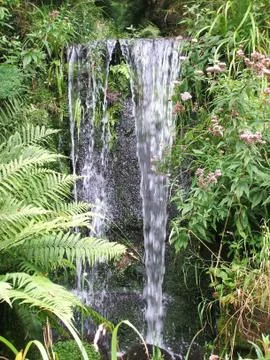 Waterfall. Stock Photos