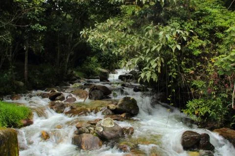 Waterfall Stock Photos