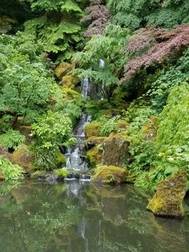 Waterfall Stock Photos