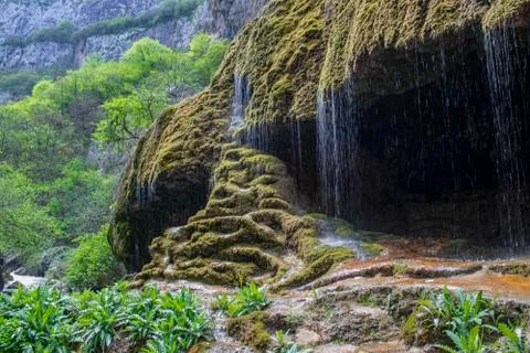 Waterfall. Stock Photos