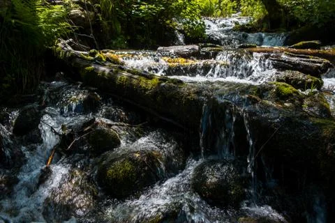 The waterfall Stock Photos