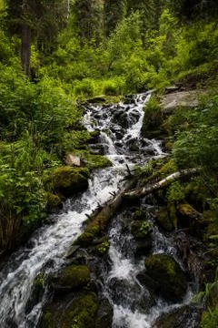 The waterfall Stock Photos