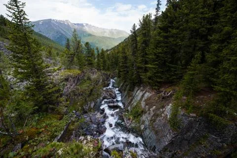 The waterfall Stock Photos