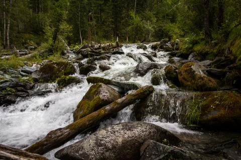 The waterfall Stock Photos