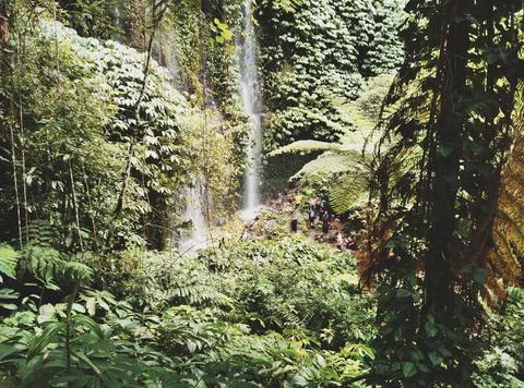 Waterfall.  Stock Photos