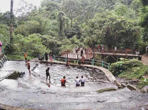 Waterfall.  Stock Photos