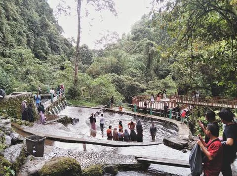 Waterfall.  Stock Photos