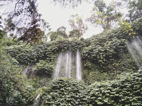 Waterfall.  Stock Photos