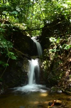 Waterfall Stock Photos