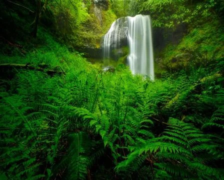 Waterfall 库存照片