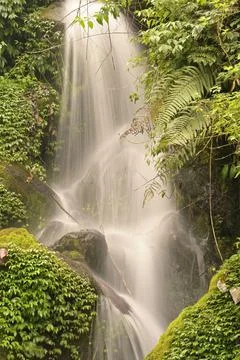 Waterfall Stock Photos