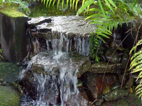 The waterfall Stock Photos