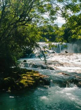 Waterfall Stock Photos