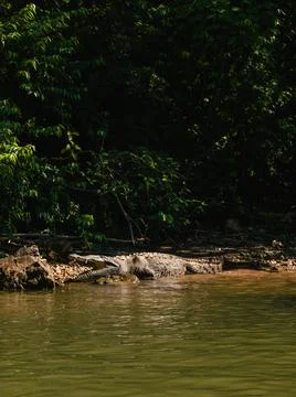 Waterfall Stock Photos