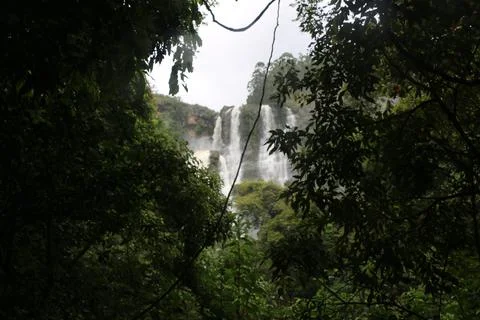 Waterfall Stock Photos