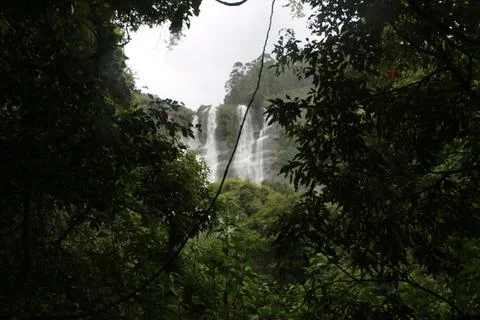 Waterfall Stock Photos