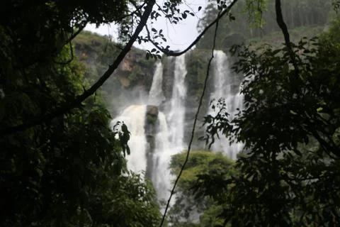 Waterfall Stock Photos