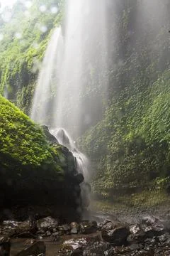 Waterfall Stock Photos