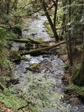 Waterfall Fotos de archivo