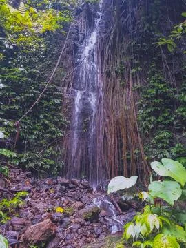 Waterfall Stock Photos