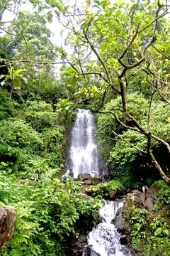 Waterfall Stock Photos