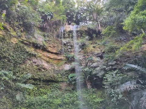 Waterfall Stock Photos