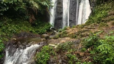Waterfall in pine forest 스톡 동영상 227837306