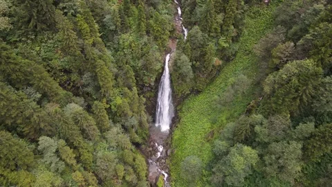 Waterfall in Pine Forest Stock Footage 332151937