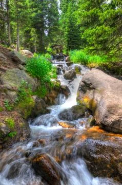 Waterfall in the pines Stock Photos