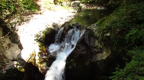 Waterfall with pink cyclamen 스톡 동영상 42542703