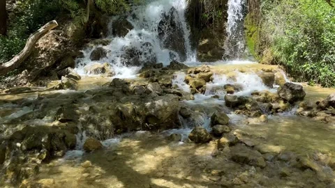 Waterfall plane tree in forest riverside tranquil scenic vibrant river stream Stock Footage 338023831