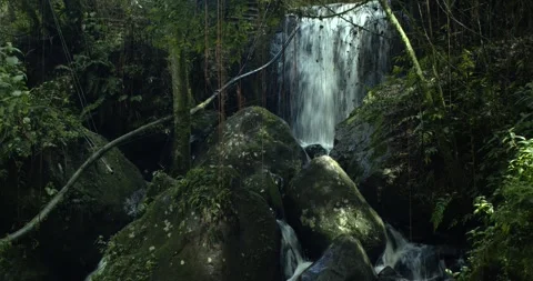 Waterfall in a planted conservation forest with huge rocks Stock Footage 242167964
