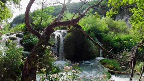 Waterfall in Plitvice Lakes in Croatia Stock Footage 241822610