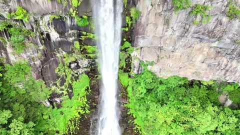 This waterfall plunges beside the ancient Seiganto ji Temple Stock Footage 340267639