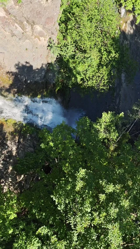 Waterfall plunging into a rocky stream surrounded by lush green trees Vidéo 310409253