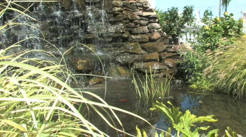Waterfall Pond Video stock 107125