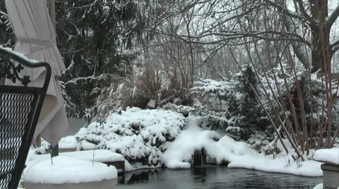 Waterfall Pond 動画素材 919412