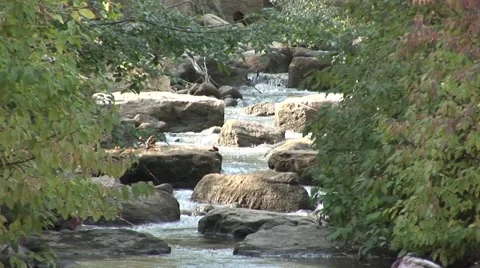 Waterfall into pond Stock Footage 54522718