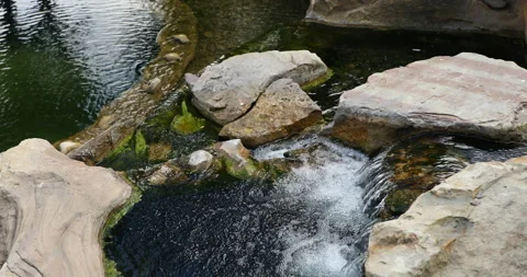 Waterfall in the pond 스톡 동영상 242705489