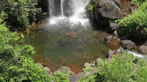 Waterfall pond in Hawaii Video stock 44882042