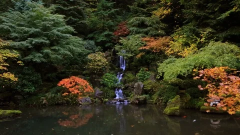 Waterfall Pond At PJG Stock Footage 105084025