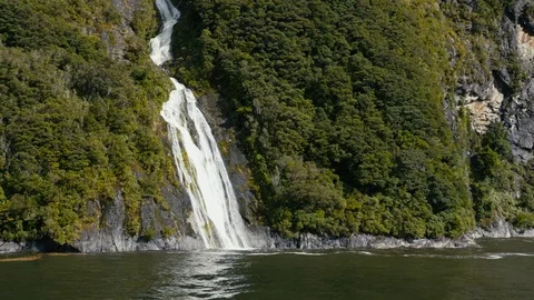 Waterfall pouring down mountain surrounded by trees in Milford Sound Stock Footage 90365436
